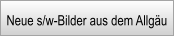 Neue s/w-Bilder aus dem Allgäu