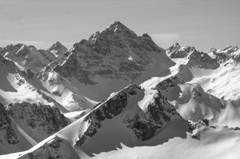 König mit Hofstaat - Hochvogel