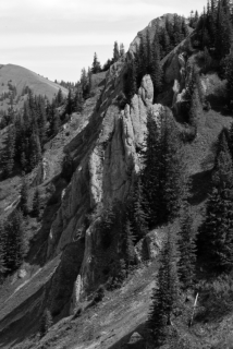 Nadeln aus "Herrgottsbeton" am Heidenkopf