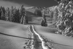 Skiwanderung im Gunzesrieder Tal