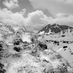 Am Tristkogel - in der Ferne der Geißstein