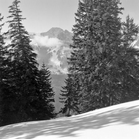 An der Bodenschneid (Mangfallgebirge) - 04.02.2022