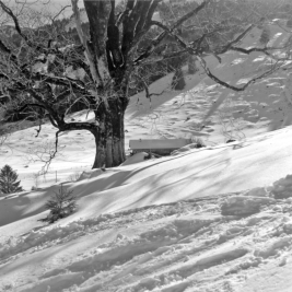 Stieglalpe (Nagelfluhkette, Oberallgäu) - 28.02.2022