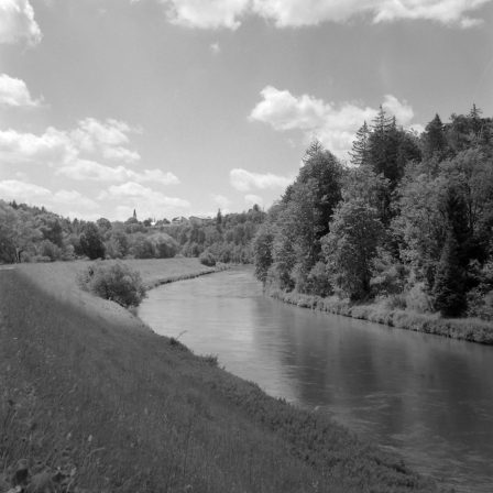 Pullach am Isarwehrkanal (München) - 13.06.2022