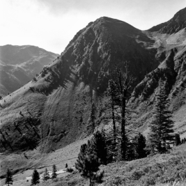 Torkopf (Inneralpbach, Tirol) - 13.08.2022