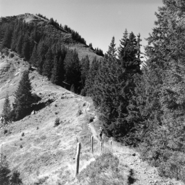 Zwischen Heidelbeer- und Schnippenkopf (Oberallgäu) - 23.08.2022