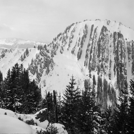 Tennenmooskopf (Allgäu) - 09.03.2021