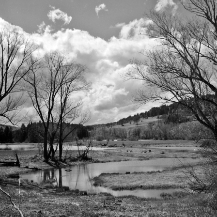 Ufer des Grüntensees (Allgäu) - 30.04.2021