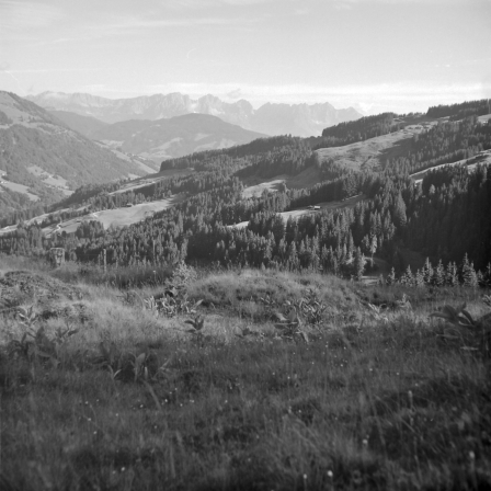 Unterwegs zum Schwarzkogel (Kitzbüheler Alpen) - WIlder Kaiser im Hintergrund - 03.07.2021