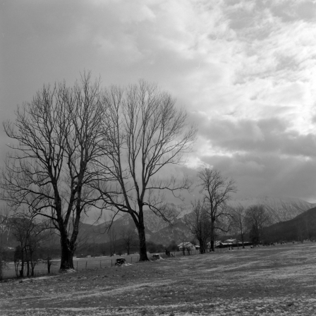 Murnauer Moos bei Grafenaschau (Ammergebirge) - 07.12.2021