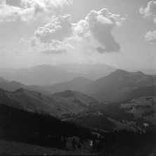 Am Lacherkopf (Bayerische Voralpen) - 23.07.2021