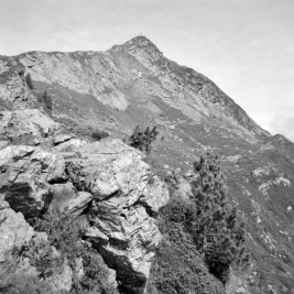 Gamskopf (Kitzbüheler Alpen) - 05.07.2021