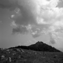 Am Lacherkopf (Bayerische Voralpen) - 23.07.2021