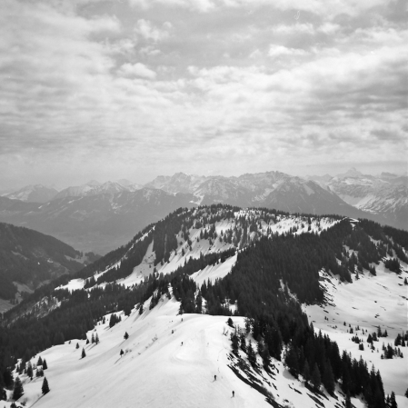 Auf dem Riedberger Horn (Allgäu) - 26.04.2021
