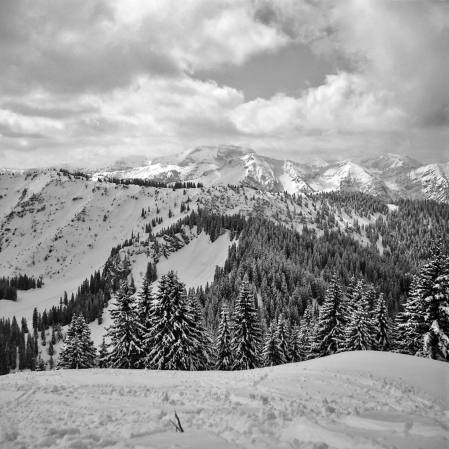Auf dem Setzberg (Tegernseer Berge) - 16.04.2021