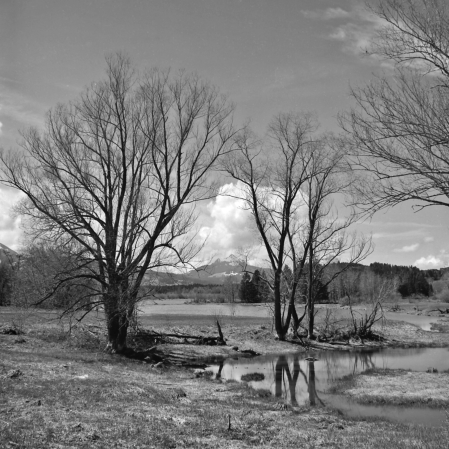 Grüntensee und Grünten (Allgäu) - 30.04.2021