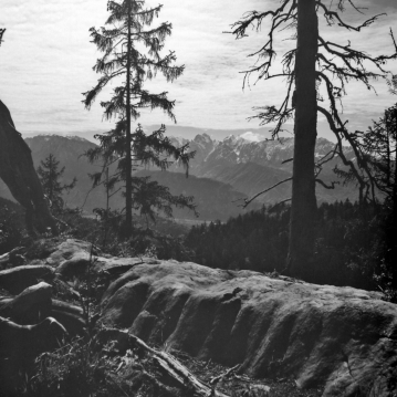 Unterwegs zum Brünnstein, Kaisergebirge im Hintergrund - 26.05.2021