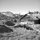 Rindalpe und Siplingerkopf (Oberallgäu) - 14.06.2021