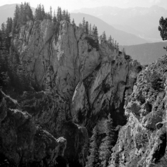 Am Schartenkopf und Laber (Ammergebirge) - 18.06.2021