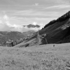 Im Gebiet der Farmkehralm (Kitzbüheler Alpen) - 05.07.2021