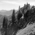 Plattberggrat zum Teufelstättkopf (Ammergebirge) - 12.07.2021