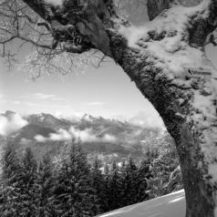 Aufstieg zum Hörnle (Ammergebirge) - 03.12.2021