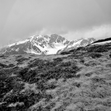 Auf dem Breitegg Gern mit dem Großen Beil in der Ferne (Kitzbüheler Alpen) - 05.06.2021