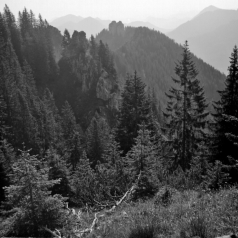 Das Ettaler Mandl, Nachbar des Laber (Ammergebirge) - 18.06.2021
