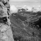 Am Gamskopf (Inneralpbach, Kitzbüheler Alpen) - 05.07.2021