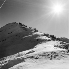 Saupanzen (Alpbachtal, Tirol) - 20.11.2021