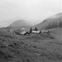 Regentag an den Schönfeldalmen (Spitzing) - 06.08.2021