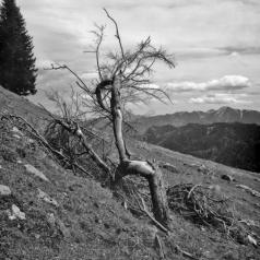 Am Fockenstein (Tegernseer Berge) - 11.05.2021
