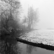 Nebel im Murnauer Moos (Ammergebirge) - 24.01.2022