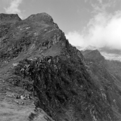 Ostflanke Großer Galtenberg über Torkopf (Inneralpbach, Tirol) - 16.07.2022