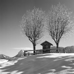 Falkenmoosalm (Vorkarwendel) - 06.12.2022