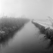 Nebel im Munrauer Moos (Ammergebirge) - 24.01.2022