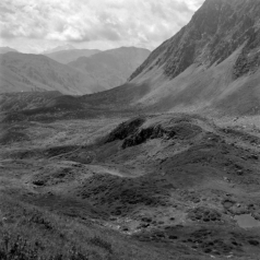 Almgelände Steinberg unter dem Torkopf (Inneralpbach, Tirol) - 16.07.2022