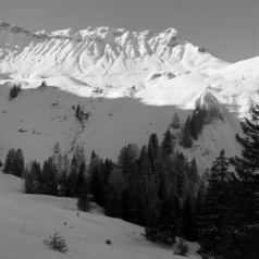 Marbichler Spitze (Vorkarwendel) - 06.12.2022