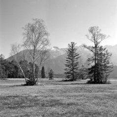 Erster Frühling im Murnauer Moos (Oberbayern) - 10.03.2022