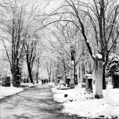 Alter Südfriedhof (München) - 03.04.2022