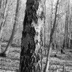 Im Südpark (München) - 21.03.2022