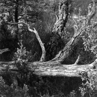 Auf der Barre du Pidanoux (Hoch-Provence) - 13.09.2022
