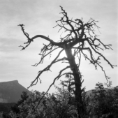 Auf der Barre du Pidanoux (Hoch-Provence) - 13.09.2022