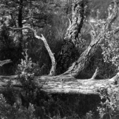 Auf der Barre du Pidanoux (Hoch-Provence) - 13.09.2022