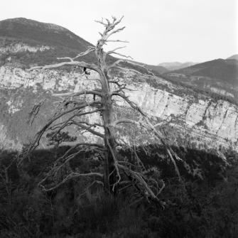Auf der Barre du Pidanoux (Hoch-Provence) - 13.09.2022