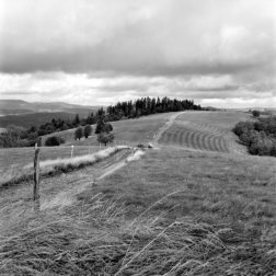 Wanderung um Bellefosse (Nordvogesen) - 19.09.2023