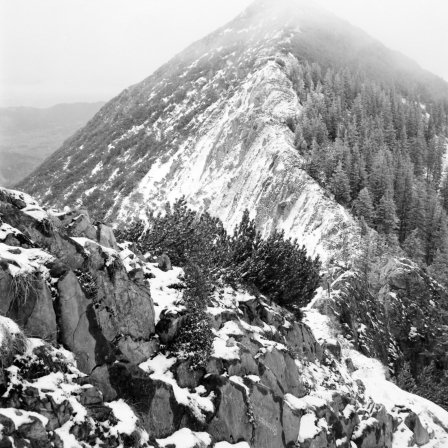 Vorgipfel Brecherspitz (Mangfallgebirge) - 12.03.2023